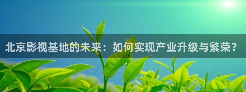 白云视频电视版怎么下载