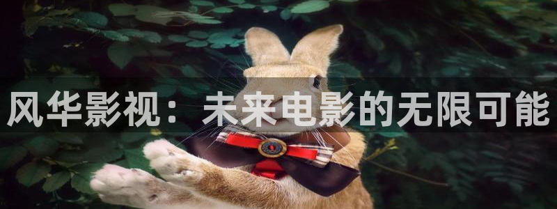 白云 视频