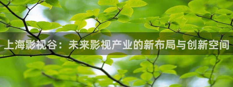 白云视频下载安装