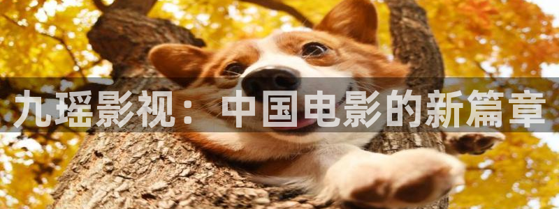 白云视频苹果