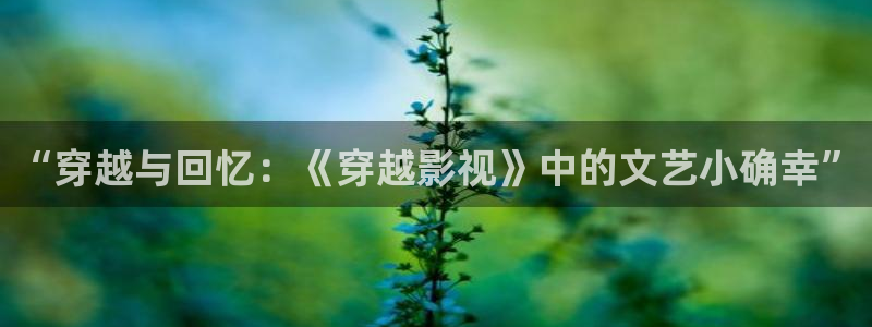 白云视频安装