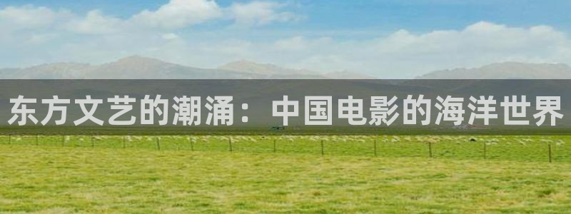 白云视频安装