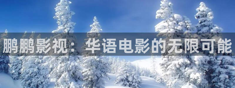 白云视频解析