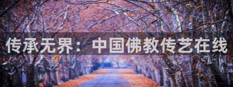 白云视频下