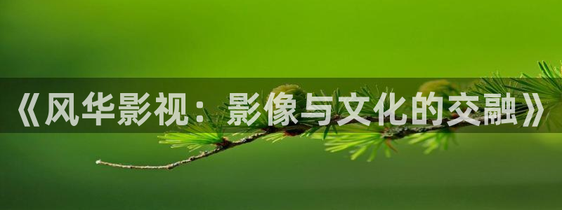 草原白云视频